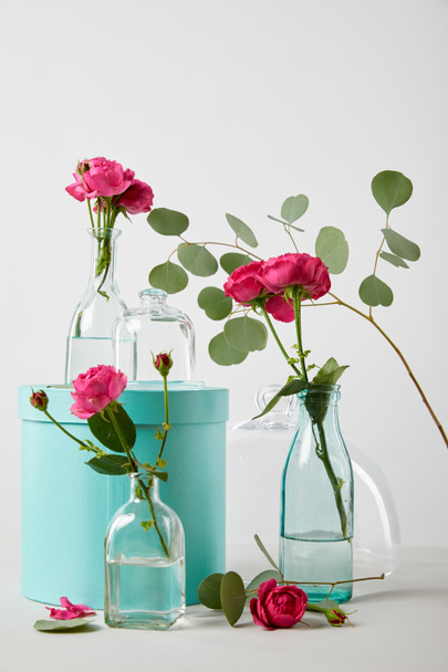 rosas rosadas y eucalipto en botellas transparentes con caja de regalo turquesa aislada en blanco
 - Foto, Imagen