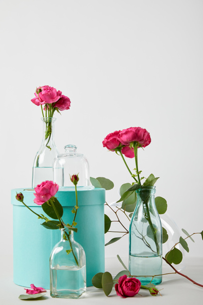 ターコイズ ブルーのギフト ボックスと白で隔離ベルジャー透明ボトルのユーカリとピンクのバラ - 写真・画像