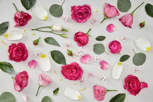Floral φόντο κατασκευασμένα από ροζ τριαντάφυλλα και πέταλα της τουλίπας απομονωθεί σε λευκό - Φωτογραφία, εικόνα