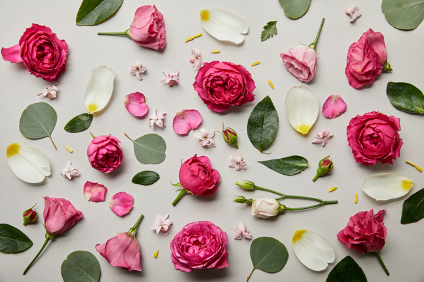 floral background made of pink roses and petals isolated on white - Fotoğraf, Görsel