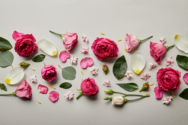 vista superior de rosas rosadas, hojas, brotes y pétalos aislados en gris
 - Foto, Imagen