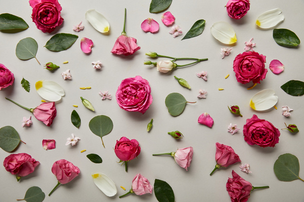 ピンクのバラ つぼみ 葉 花びらグレーに分離されて作られた花の背景 ロイヤリティフリー写真 画像素材