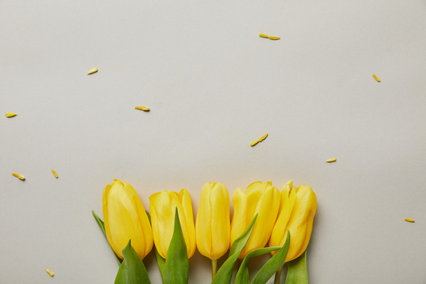 top view of yellow tulips isolated on grey with copy space - Foto, afbeelding