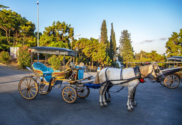 Вид с улицы острова Буюкада. Тренер и лошади в Буюкада, княжеские острова района Стамбула
 - Фото, изображение