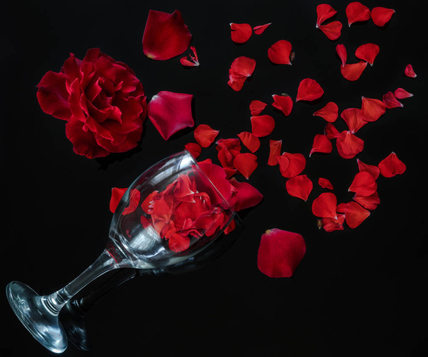 Rose rosse con petali, un bel regalo che ogni donna ama
 - Foto, immagini
