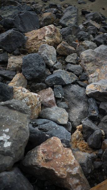 monet kivi rannalla päivällä aika
 - Valokuva, kuva