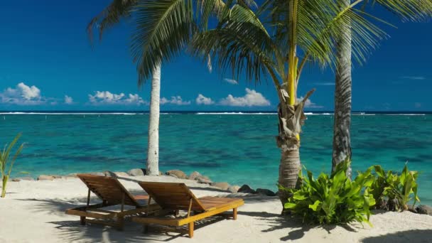 tropischer Strand an der Südseite von upolu, Samoa-Insel mit vielen Palmen - Filmmaterial, Video