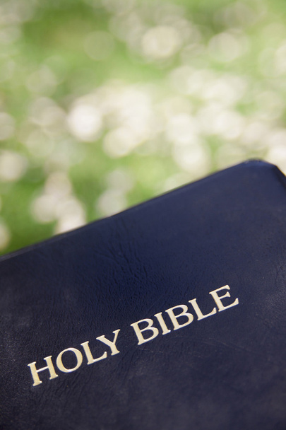 Black leather bible against blurred green grass background - Photo, Image