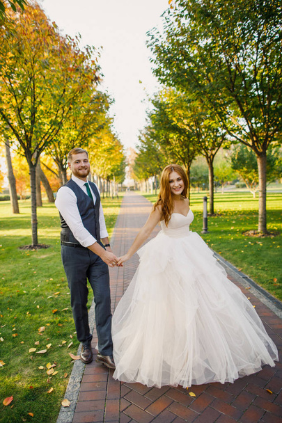 wedding couple walking in park - Φωτογραφία, εικόνα