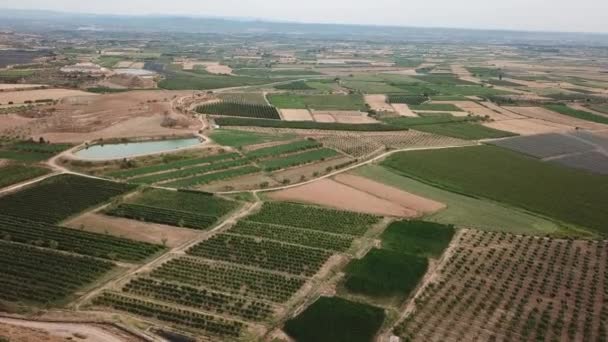 Vista aérea de drone voador de paisagem rural verde padrão natureza fundo em Lleida (Catalunha, Espanha
) - Filmagem, Vídeo