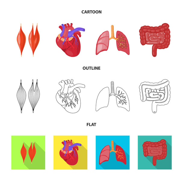 Vector design of biology and scientific icon. Set of biology and laboratory vector icon for stock. - ベクター画像
