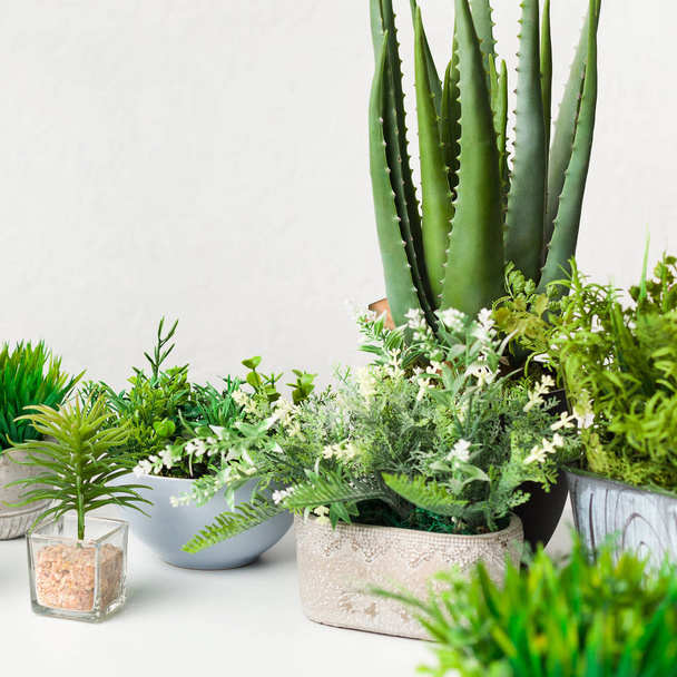 Varias plantas artificiales de la casa en diferentes macetas sobre pared blanca
 - Foto, Imagen