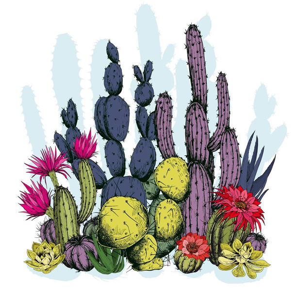 Colorful cactus plants with flowers. Hand drawn vector on white background. - Vetor, Imagem