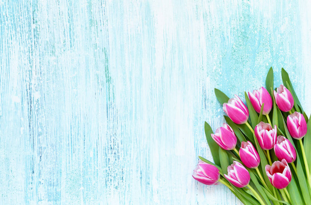 Ramo de tulipanes rosados sobre fondo azul. Vista superior, espacio de copia. Hol.
 - Foto, imagen