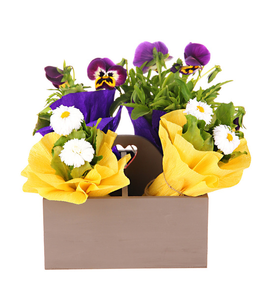 Beautiful spring flowers in wooden crate isolated on white - Foto, Imagem