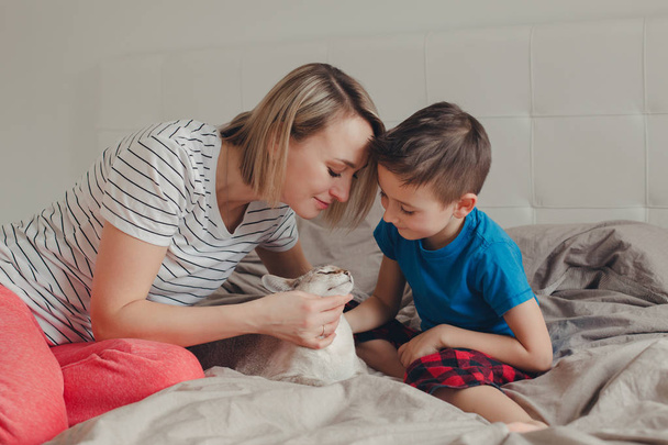 Portrait of Caucasian family mother and son sitting on bed in bedroom at home and petting oriental point-colored cat. Mom teaching child boy to stroke animal correctly gently - Foto, Imagem