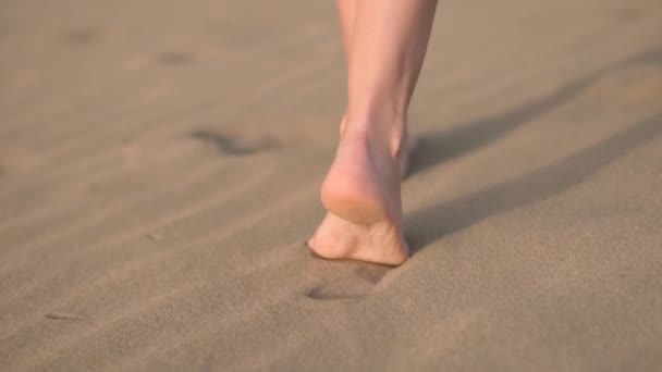Bliska, zwolnione tempo. Stopy kobieta spaceru na złotym piasku na plaży. - Materiał filmowy, wideo