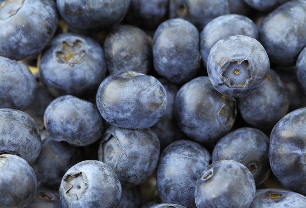 Blueberry - Zdjęcie, obraz
