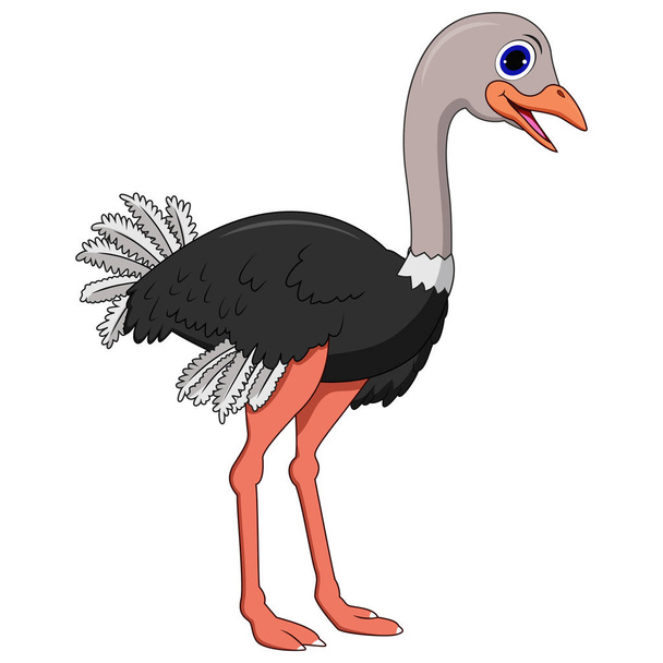 ілюстрація милого страуса мультфільму
 - Вектор, зображення