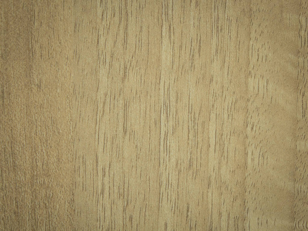 wood texture background - Foto, immagini