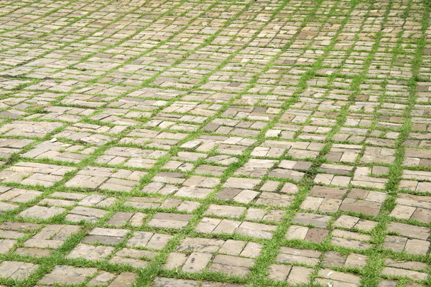 walkway with grass growing between the stones. - Photo, Image