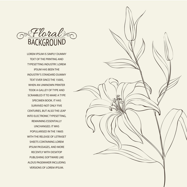 Flor de lirio aislada sobre blanco. Ilustración vectorial
 - Vector, Imagen