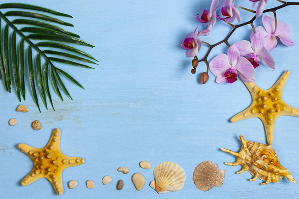 Orchid, seashells, starfish and leaf of palm tree - Photo, Image