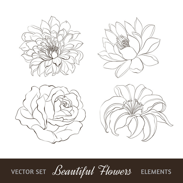 Conjunto de flores aisladas sobre blanco. Ilustración vectorial
 - Vector, Imagen