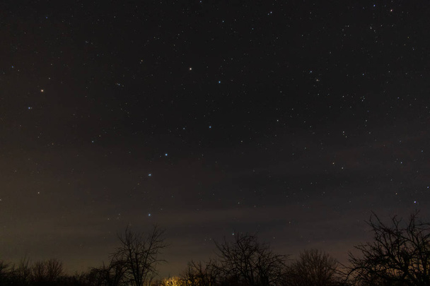 Beautiful night landscape. sky with stars. - Photo, Image