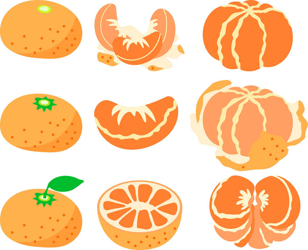 Japonská mandarinka oranžová sada - Vektor, obrázek