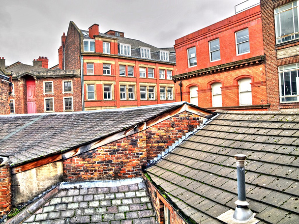 Rooftops - Photo, Image