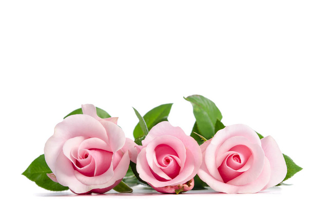 three pink rose lying on white background  - Foto, Imagen