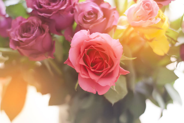 Beautiful bouquet of rose flowers - Valokuva, kuva