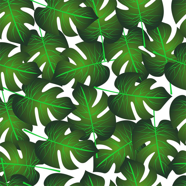 Muster von Palmblättern - Vektor, Bild