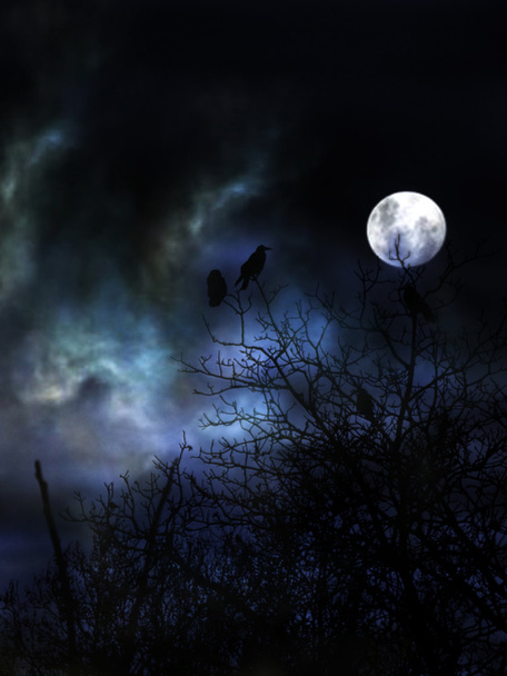 kísérteties éjszaka fekete madarak. - Fotó, kép