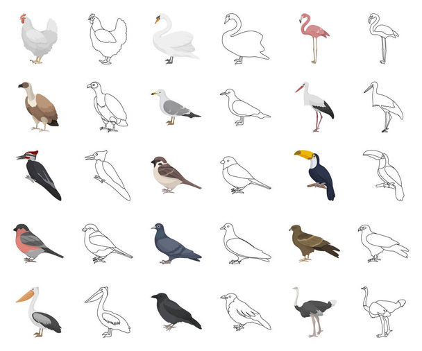 Tipos de dibujos animados de aves, esbozar iconos en la colección de conjuntos para el diseño. Inicio y aves silvestres vector símbolo stock web ilustración
. - Vector, imagen