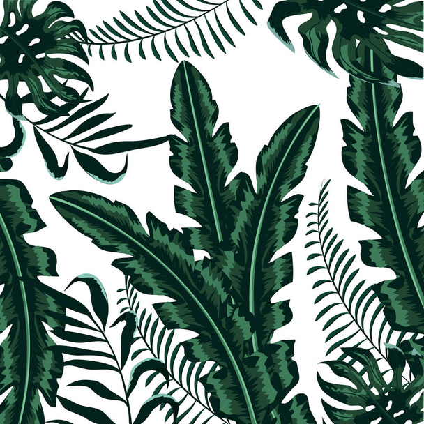 екзотичні рослини гілки красиве листя
 - Вектор, зображення