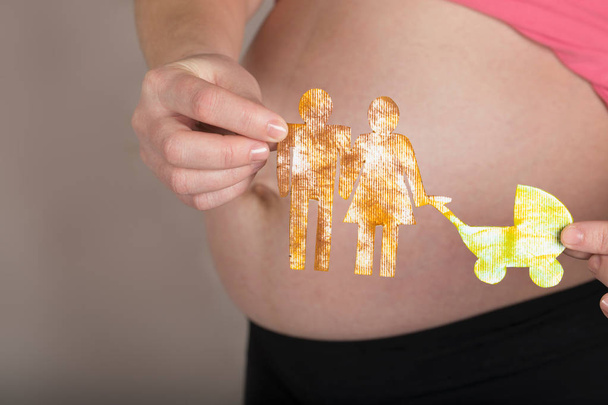 Nuori raskaana oleva nainen pitää paperileikkeitä perheestä. lähikuva-analyysi
 - Valokuva, kuva
