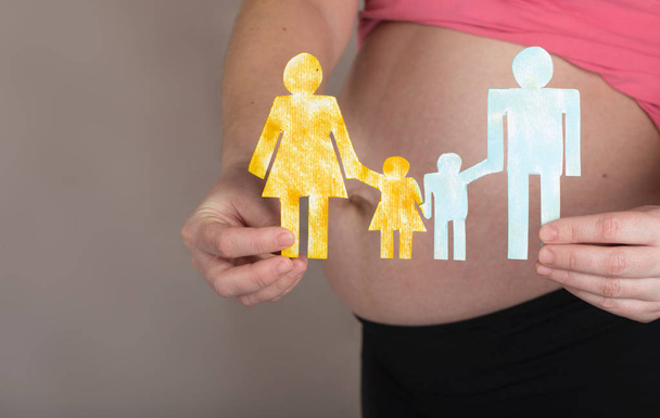 Young pregnant woman keeps paper cutouts of a family. Closeup - Photo, Image