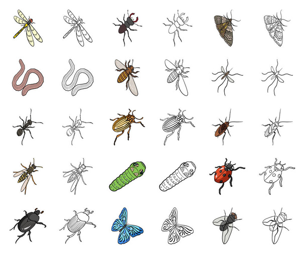 Diversi tipi di insetti cartone animato, icone di contorno nella collezione di set per il design. Insetto artropode vettore isometrico simbolo stock web illustrazione
. - Vettoriali, immagini