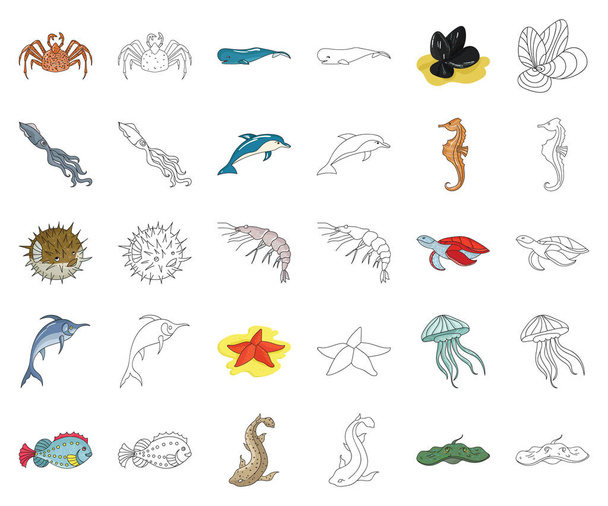A variety of marine animals cartoon,outline icons in set collection for design. Fish and shellfish vector symbol stock web illustration. - Vector, Image