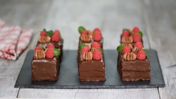 Chocolate cakes with fresh raspberry and mint level. - Footage, Video