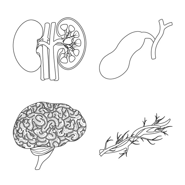 Vector design of body and human logo. Set of body and medical vector icon for stock. - ベクター画像