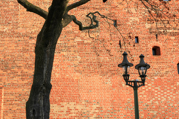 Δέντρο και street λαμπτήρα σε φόντο κόκκινο τοίχο - Φωτογραφία, εικόνα