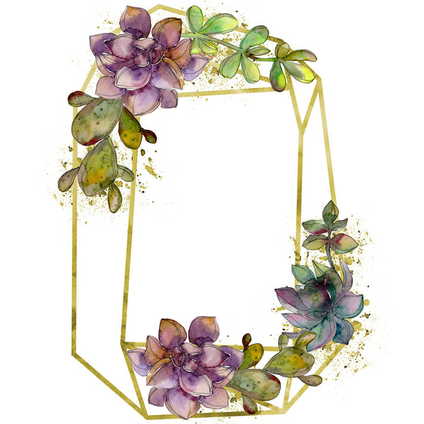 Jungle botanical succulent flower. Watercolor background illustration set. Frame border crystal ornament square. - Foto, Imagem