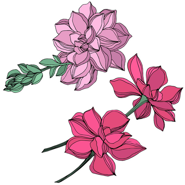Vector Jungle botanical succulent flower. Engraved ink art illustration. Isolated succulents illustration element. - Vektor, obrázek