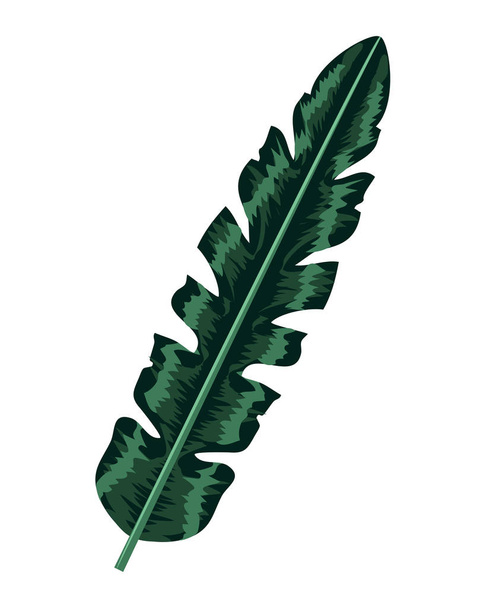 beauty exotic leaf branch design - Vektor, kép