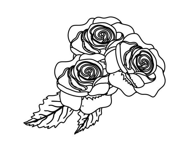 περίγραμμα τριαντάφυλλα εξωτική ομορφιά και ωραία φύλλα - Διάνυσμα, εικόνα