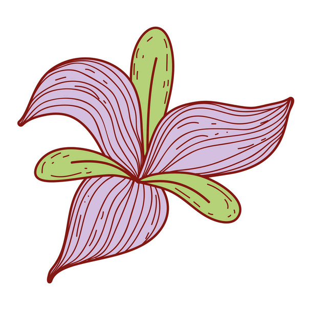 Flower drawing cartoon - Vektor, obrázek