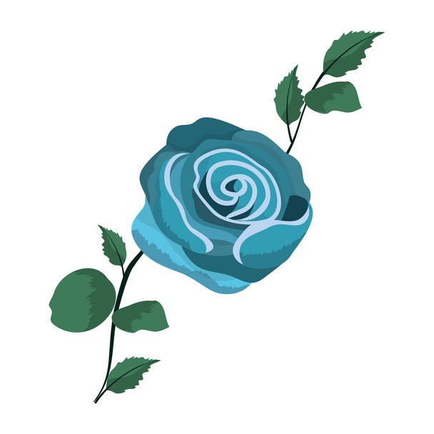 голубая экзотическая роза с ветвями
 - Вектор,изображение